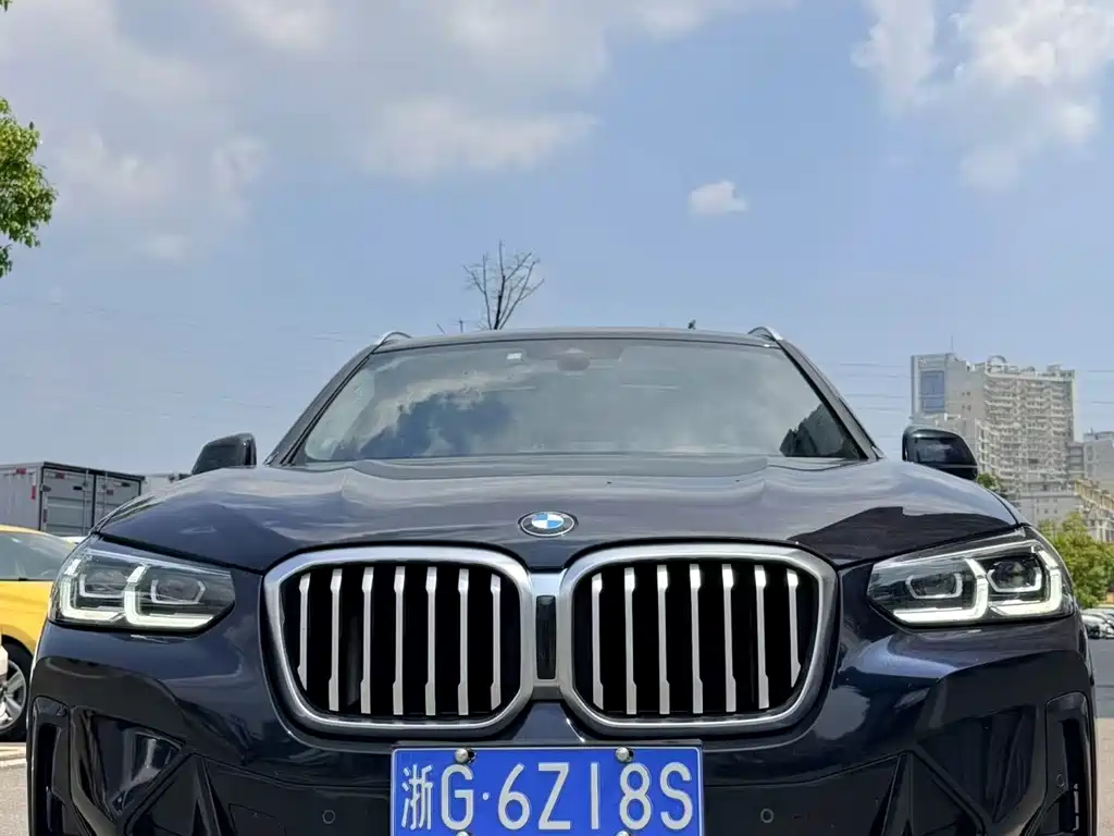 BMW X3 — миниатюра 2