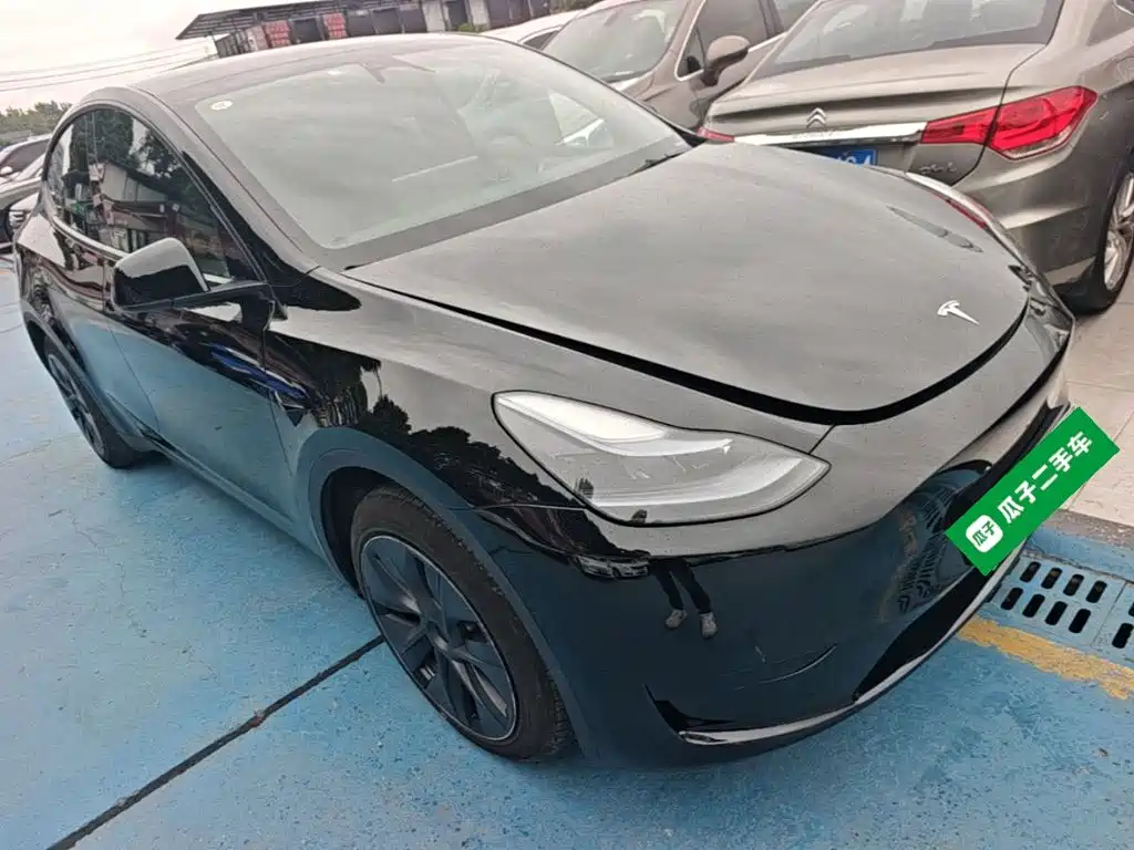 Tesla Model Y — миниатюра 4