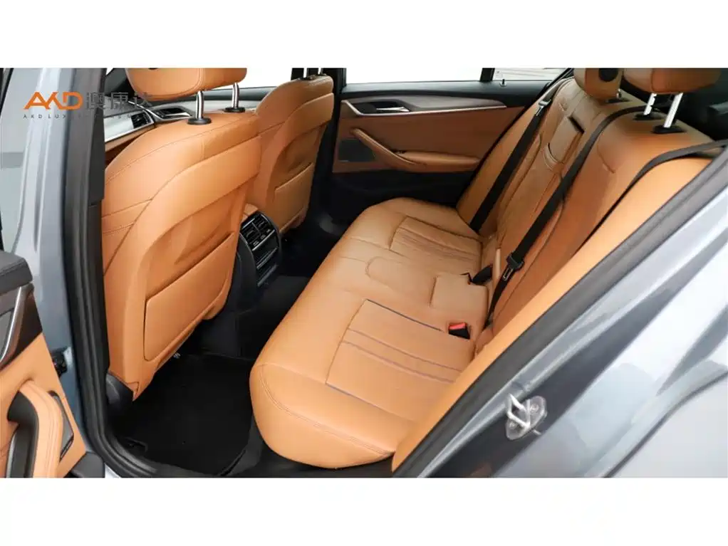 BMW 5 Series 5 2019 525Li M Sport