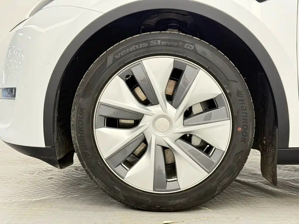 Tesla Model Y — миниатюра 6