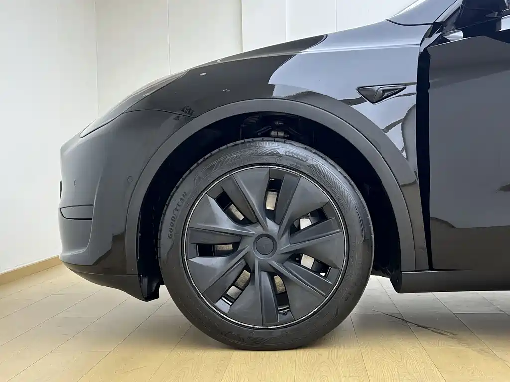 Tesla Model Y — миниатюра 4