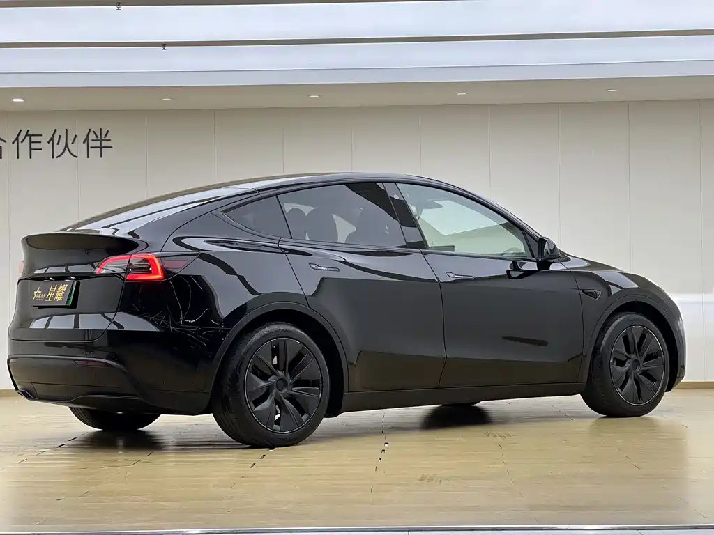 Tesla Model Y — миниатюра 19