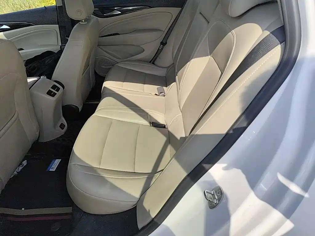 Buick Regal — миниатюра 22