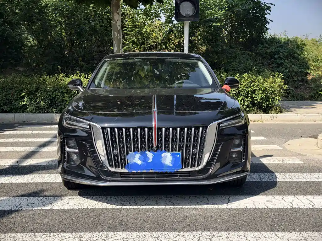 Hongqi Hongqi H5 — миниатюра 2