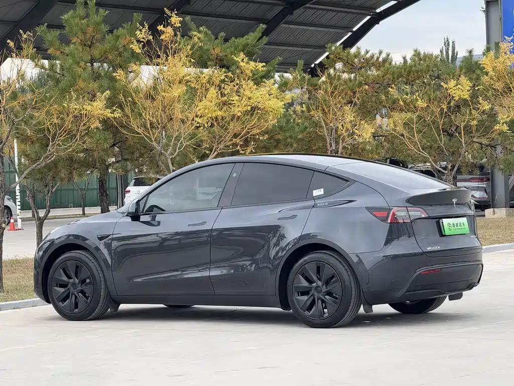 Tesla Model Y — миниатюра 18