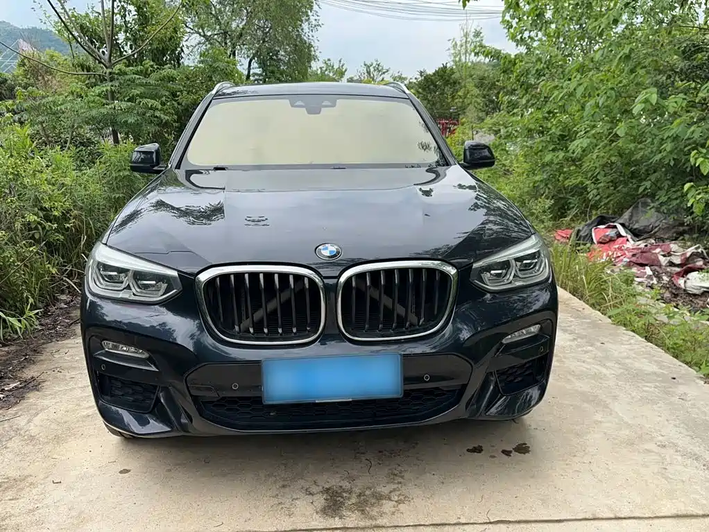 BMW X3 2018 xDrive25i M Sport VI