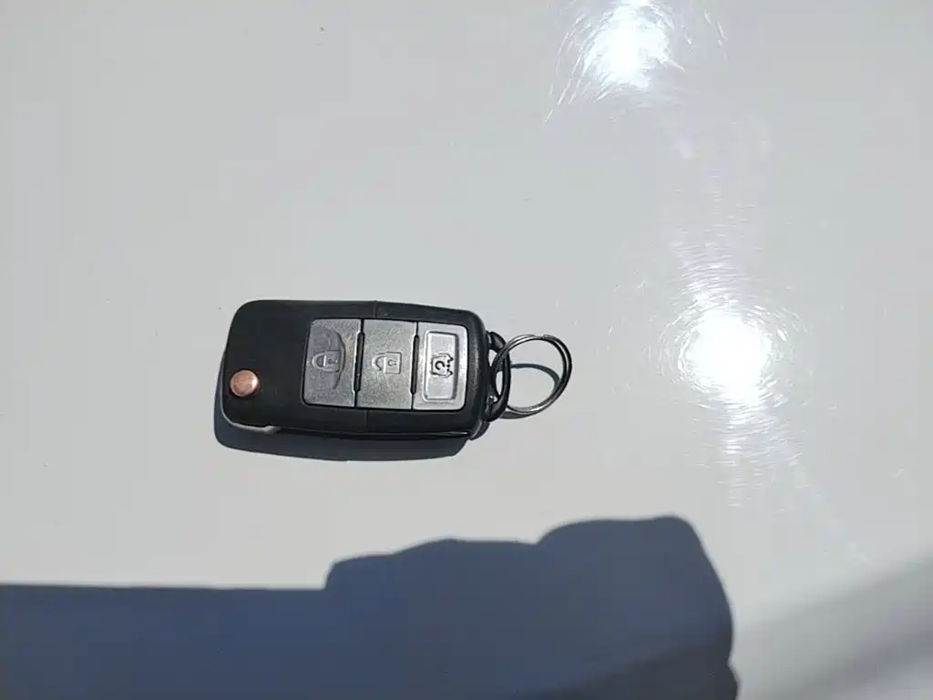 BAW Weiwang M20 — миниатюра 11