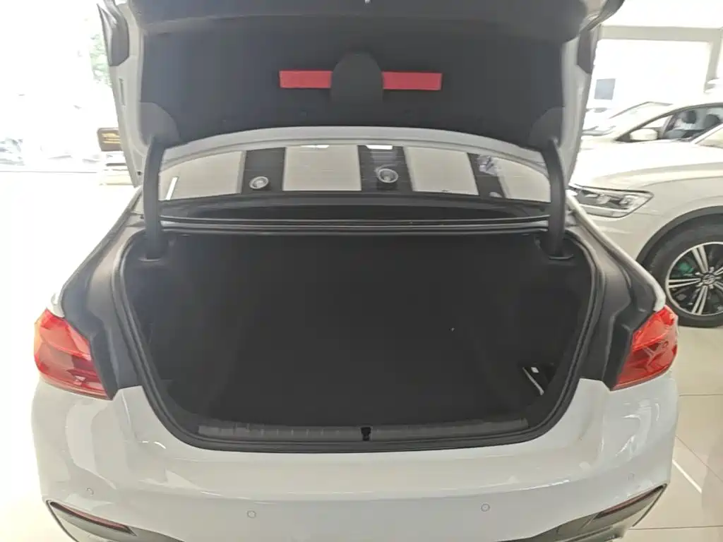 BMW 5 Series (Import) — миниатюра 19