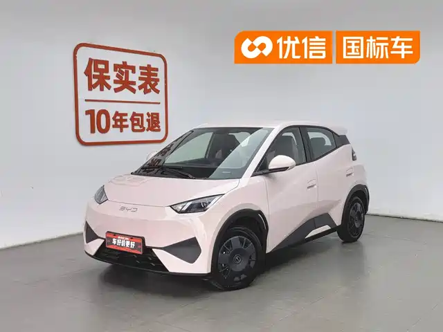 2025 BYD Seagull