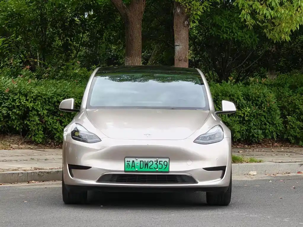 Tesla Model Y — фотографии объявления, Фото 3