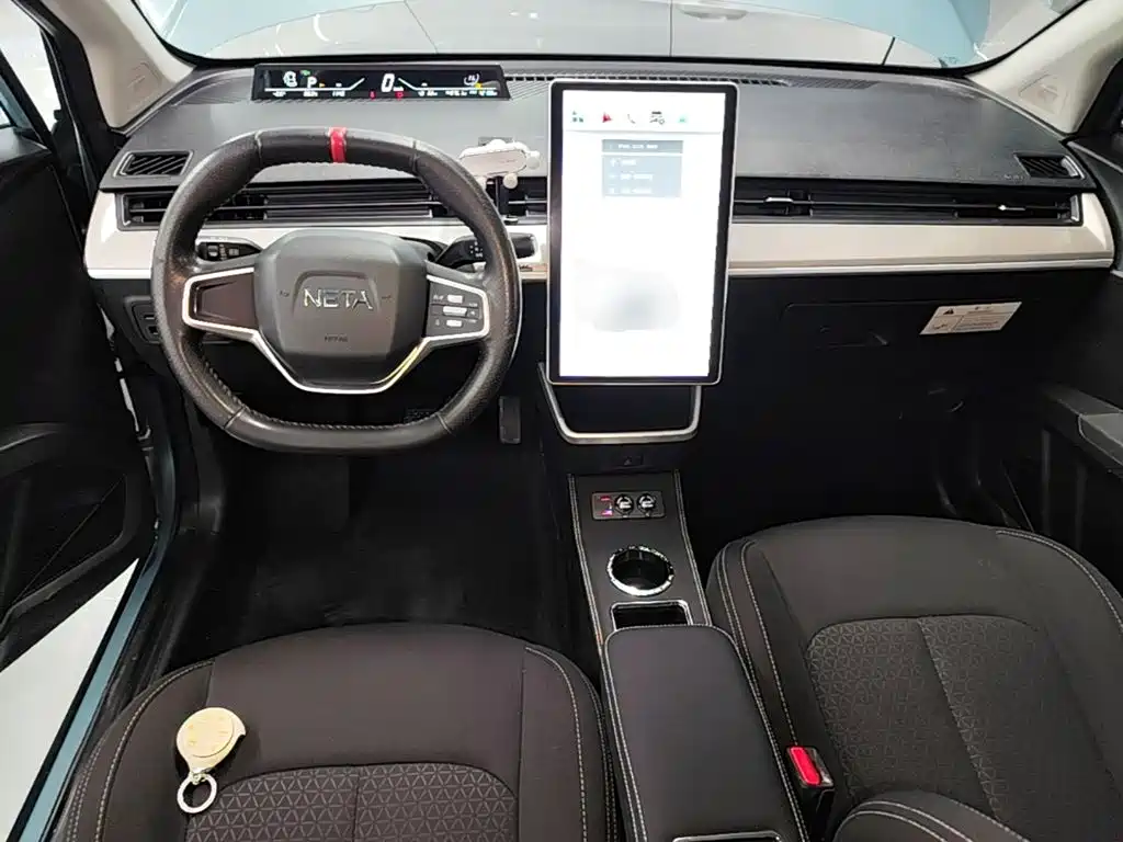 Neta Neta V — миниатюра 10