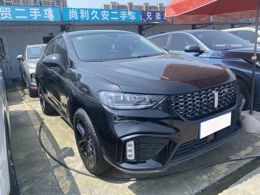 WEI PAI WEI BRAND VV5