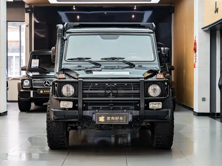 Mercedes-Benz G-Class G 2010 G 300