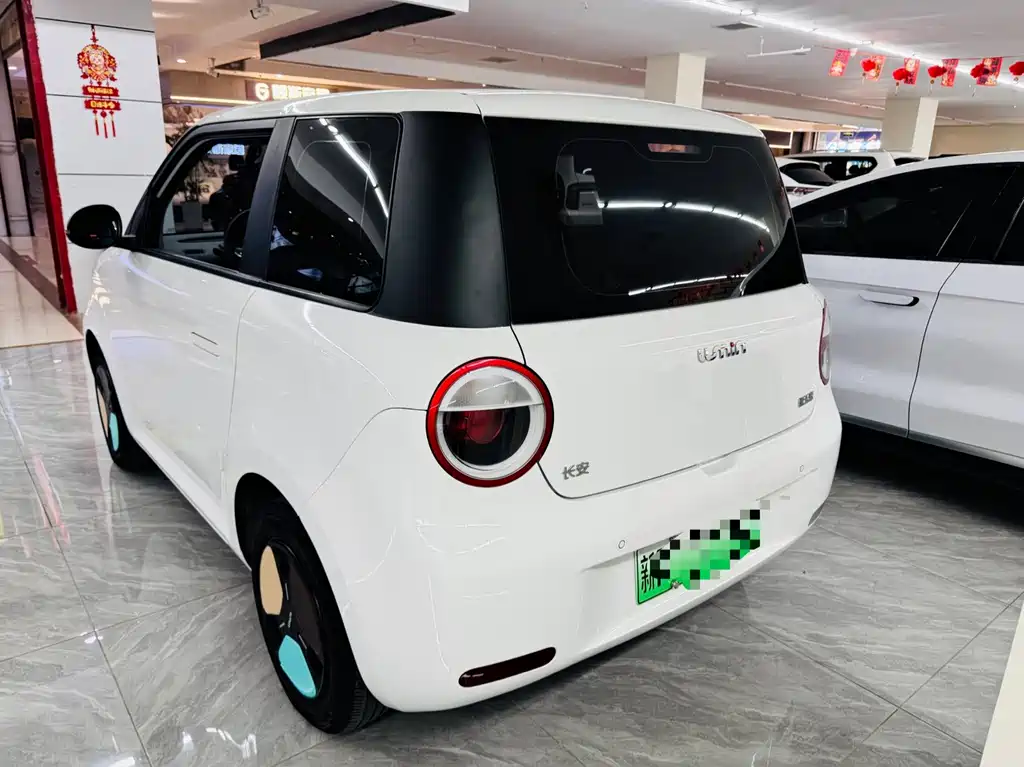 Qiyuan Lumin — миниатюра 4