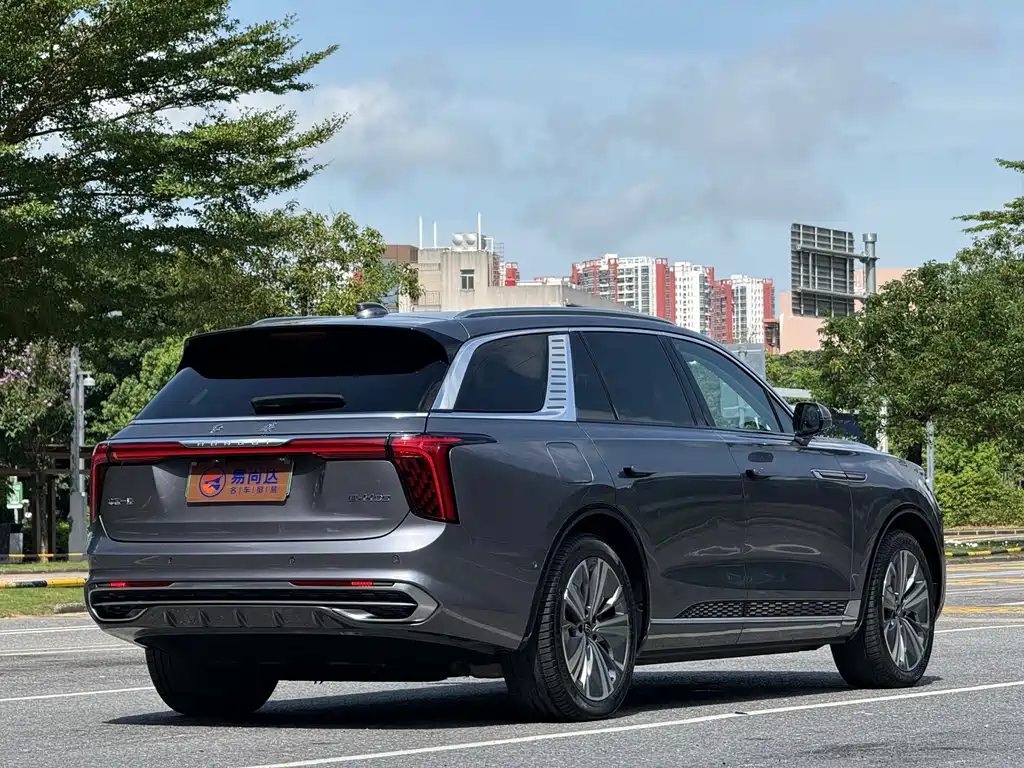 Hongqi Hongqi E-HS9 — миниатюра 5
