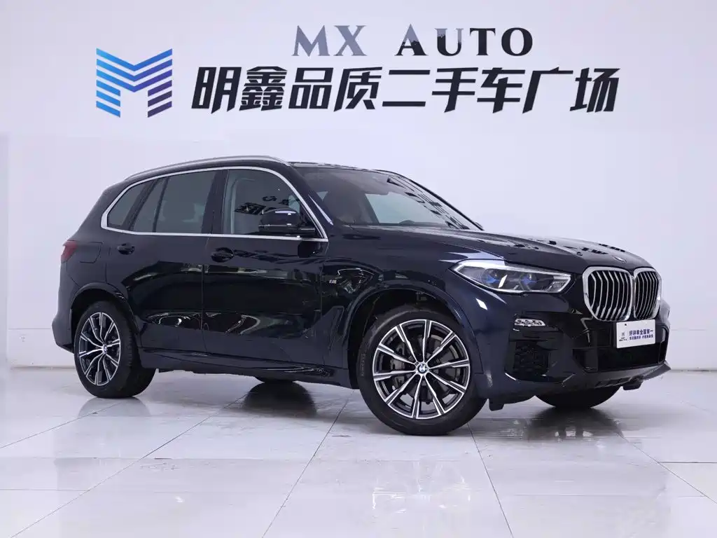 BMW X5 (Import) — миниатюра 5