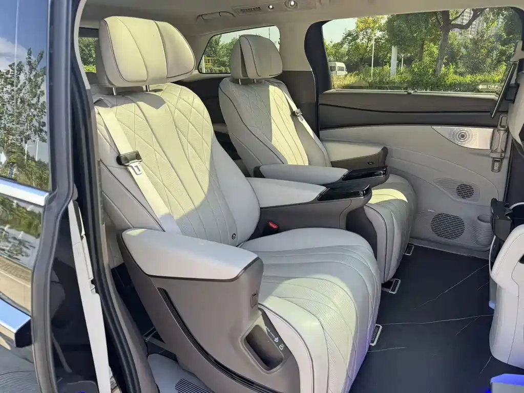 Denza Denza D9 — миниатюра 17
