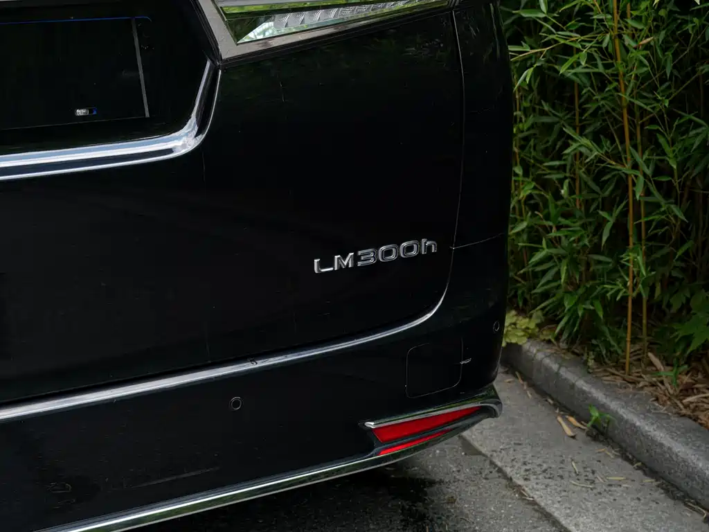Lexus LM 2020 300h мест