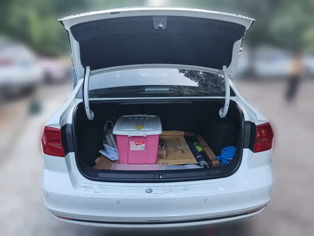 Volkswagen Bora — миниатюра 20