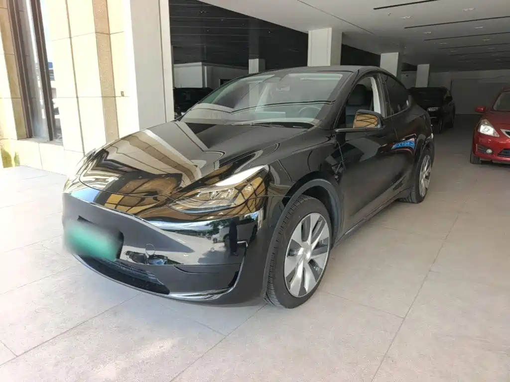 Tesla Model Y — миниатюра 2