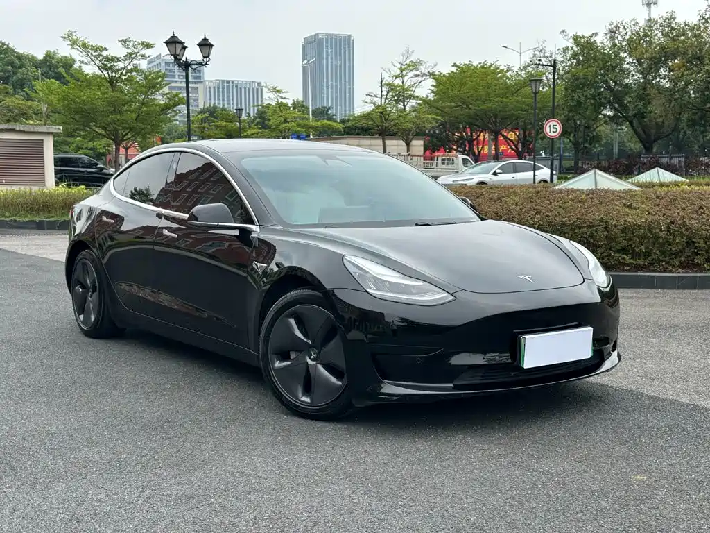 Tesla Model 3 — миниатюра 3