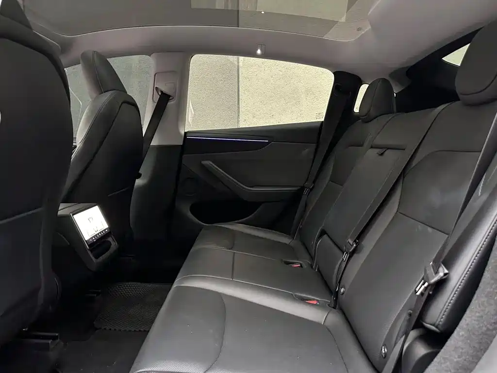 Tesla Model Y — миниатюра 11