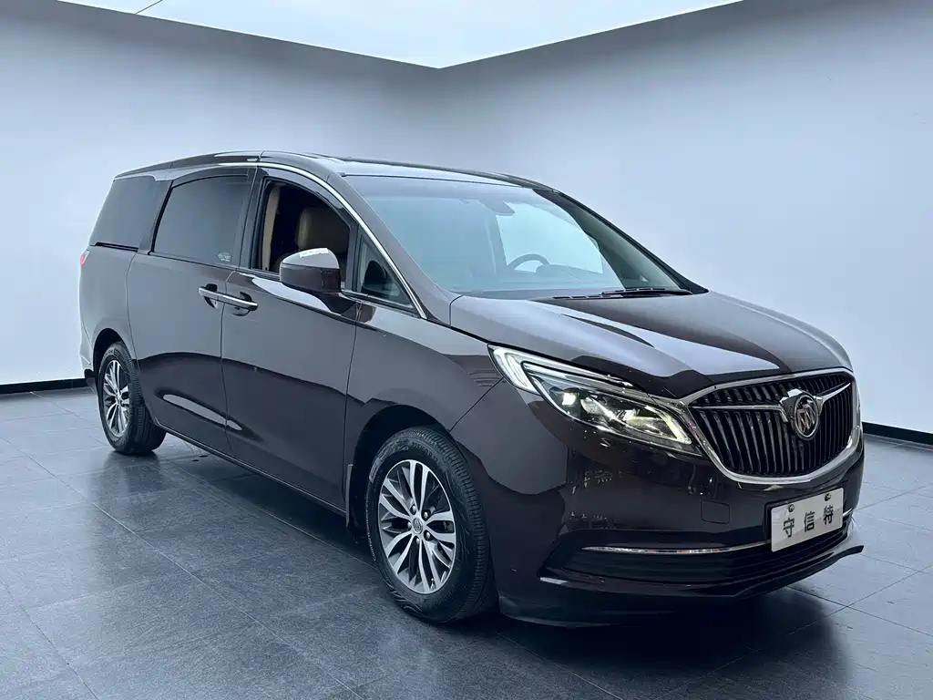 Buick GL8 — миниатюра 3