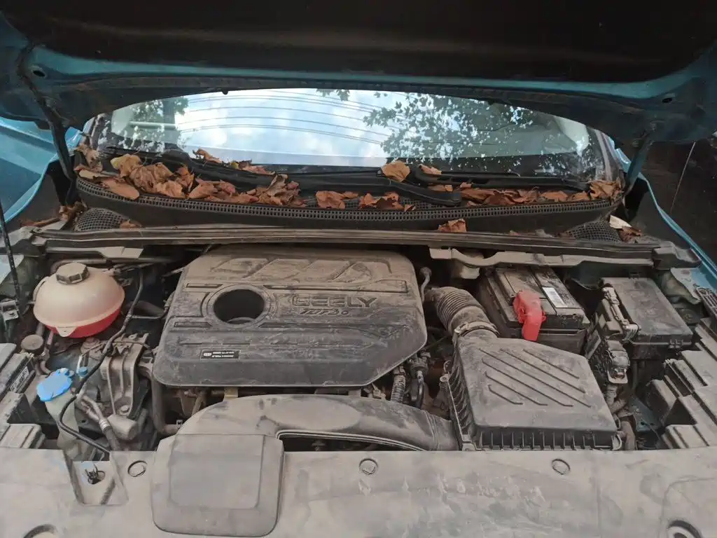 Geely Emgrand S — миниатюра 11