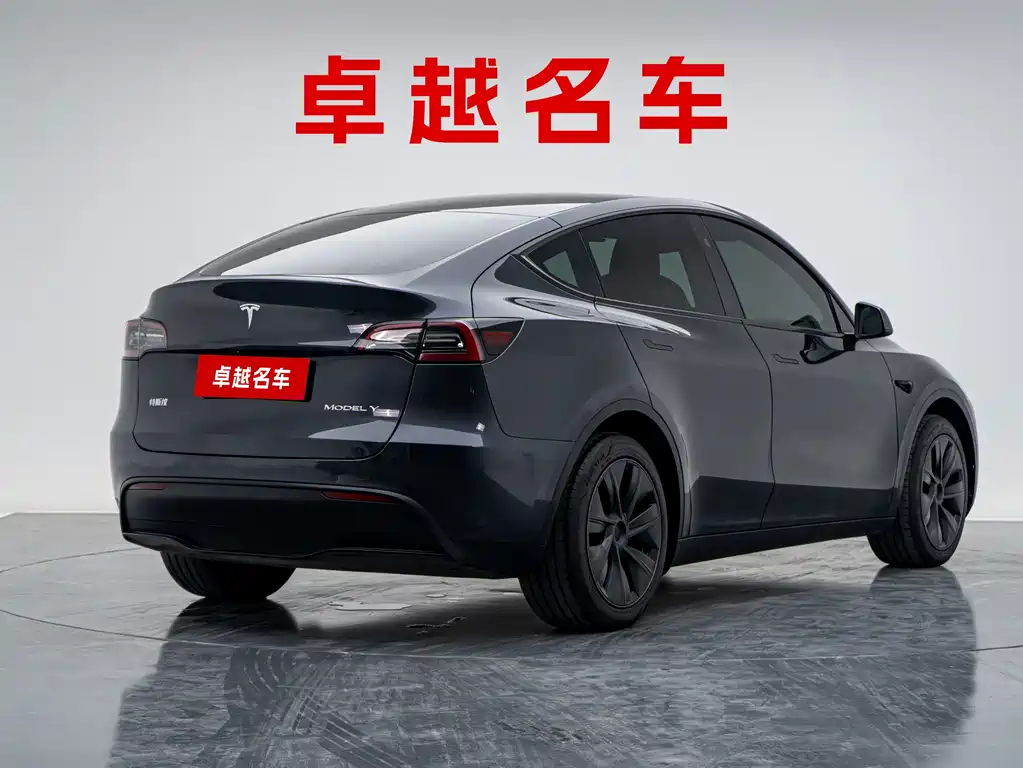 Tesla Model Y — миниатюра 6