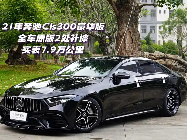 Mercedes-Benz CLS 2021 CLS 300 Luxury — фото 1
