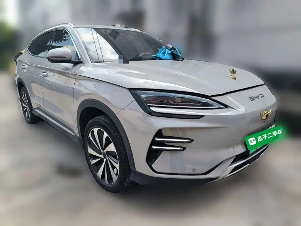 BYD PLUS New Energy — миниатюра 25
