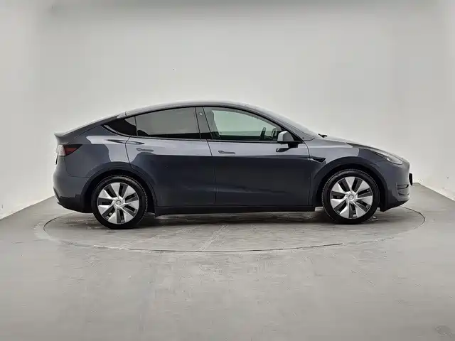 Tesla Model Y — миниатюра 4