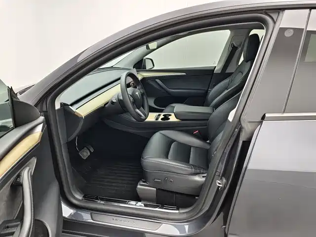 Tesla Model Y — миниатюра 10