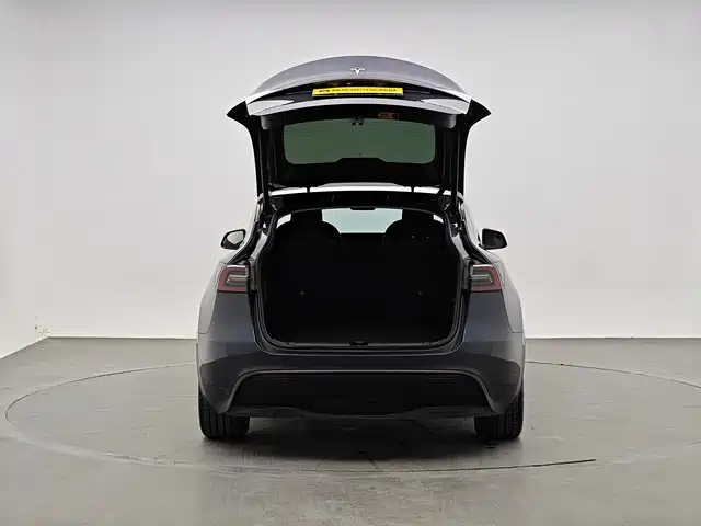 Tesla Model Y — миниатюра 14