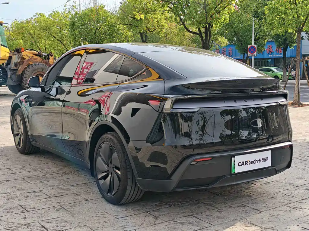 Tesla Model Y — миниатюра 8