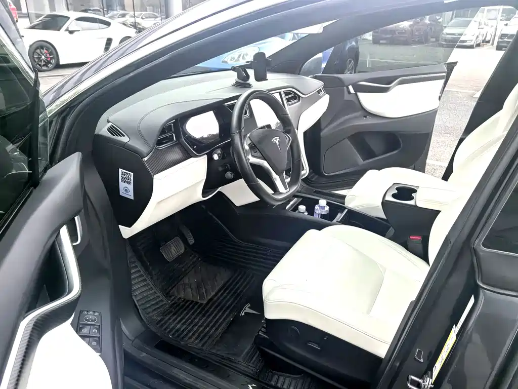 Tesla Model X 2017 Model X 100D