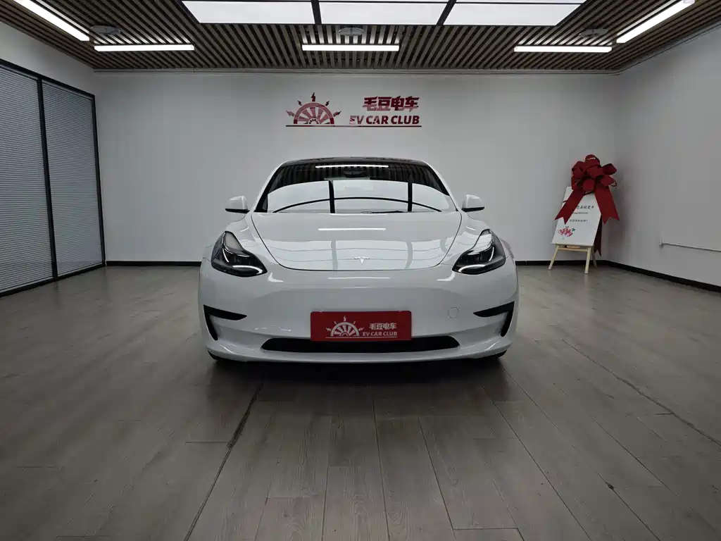 Tesla Model 3 — миниатюра 3