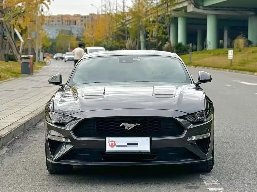 FORD MUSTANG