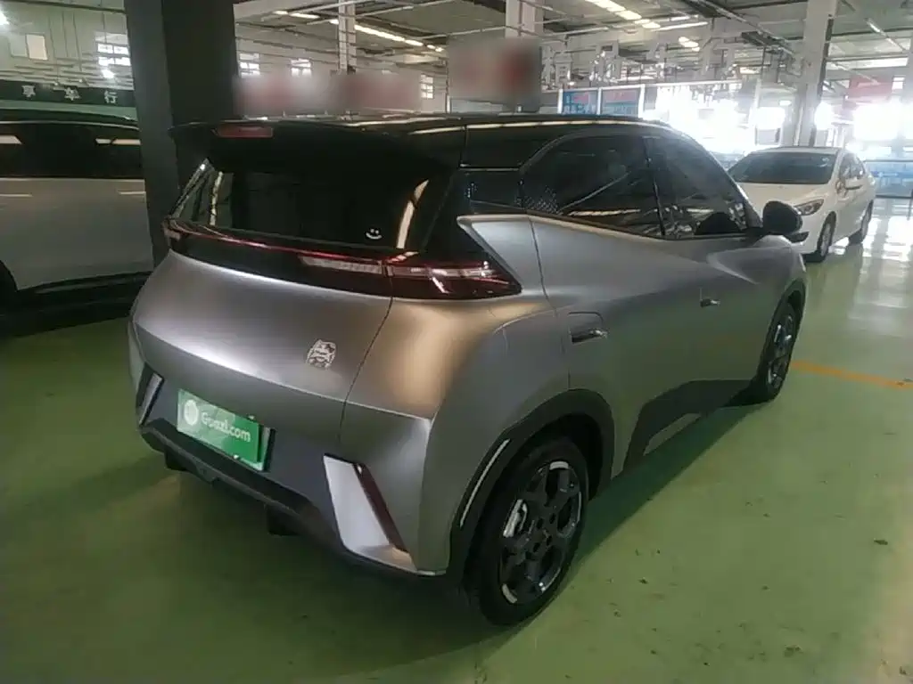 BYD Seagull 2025 305km Freedom