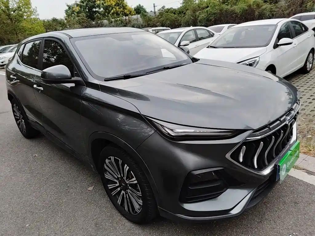 Oshan Oushang X5 — миниатюра 4