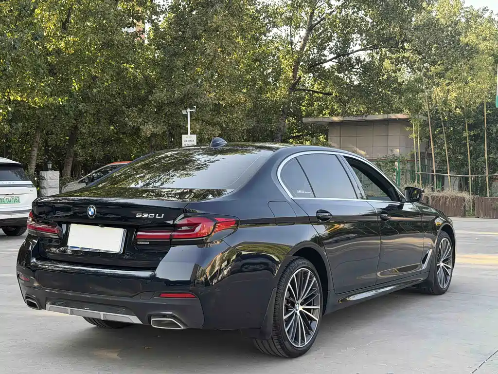 BMW 5 Series — миниатюра 13