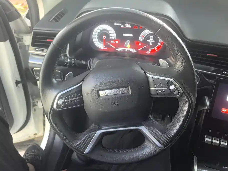 Haval H4 — миниатюра 15