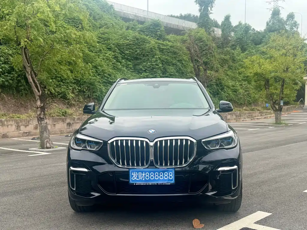 BMW X5 — миниатюра 2