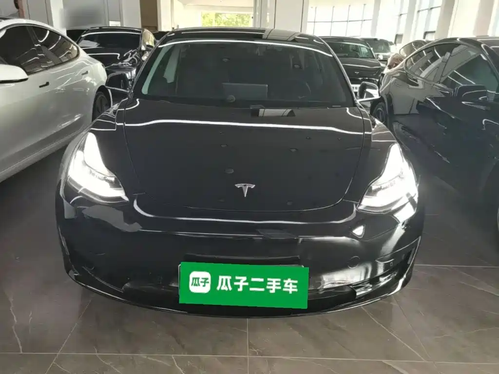 Tesla Model 3 — миниатюра 3
