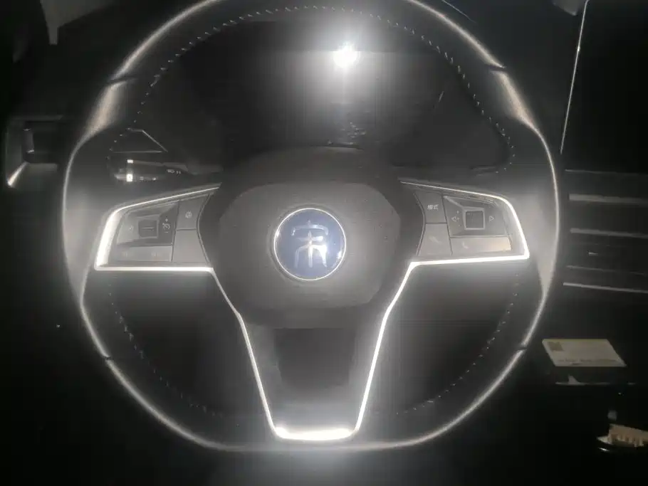 BYD Pro — миниатюра 15