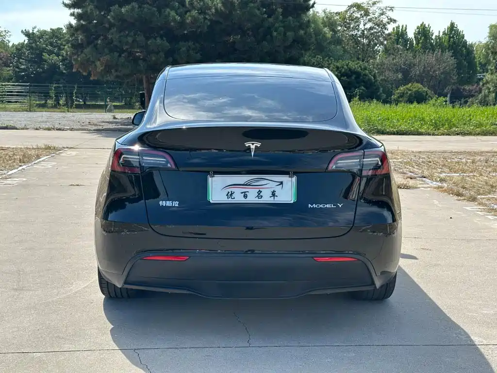 Tesla Model Y — миниатюра 5