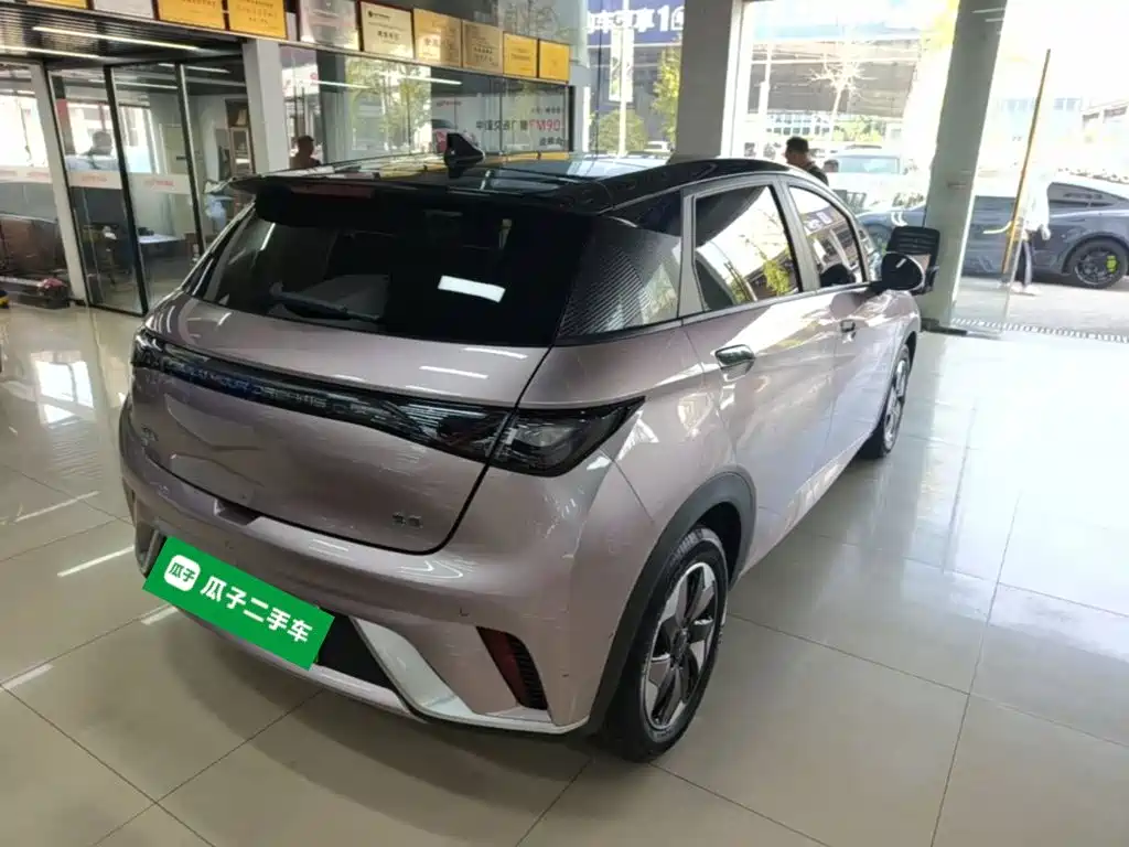 BYD Dolphin — миниатюра 7