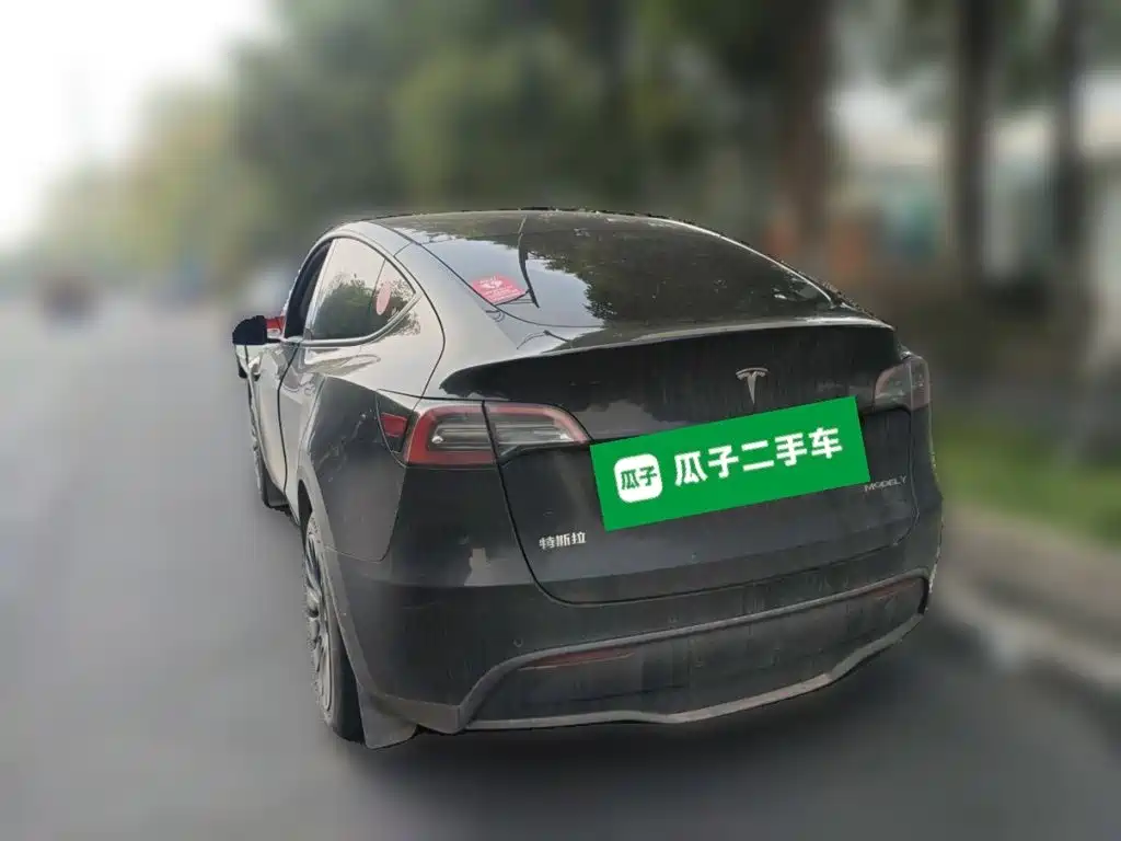 Tesla Model Y — миниатюра 5