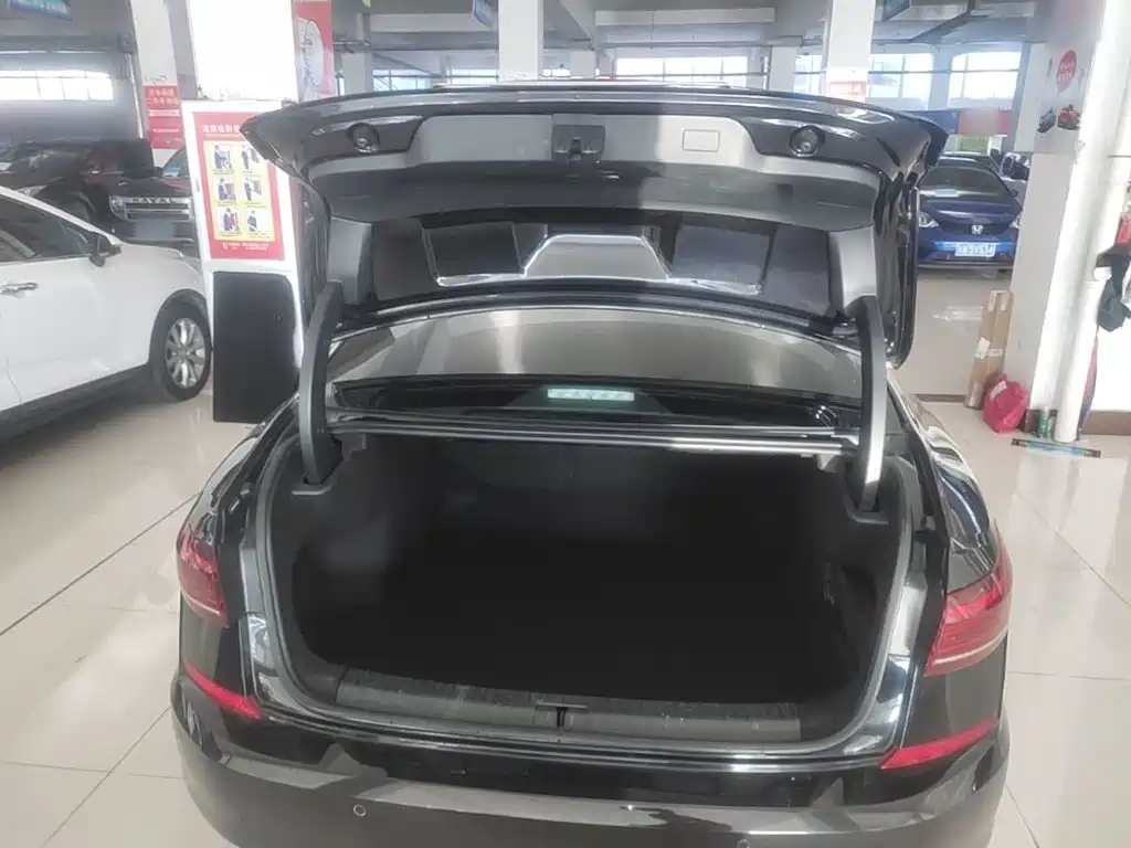 Volkswagen Passat — миниатюра 19