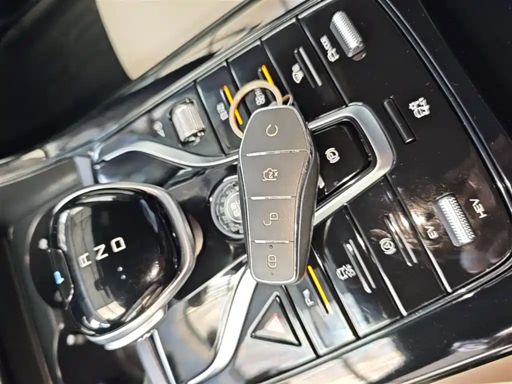 BYD Qin Plus PLUS 2024 DM-i 55KM Lead